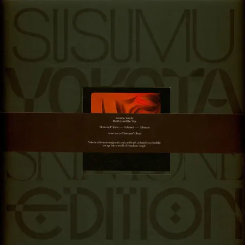 2-susumu-yokota-the-boy-and-the-tree-skintone-edition-orange-vinyl-edition
