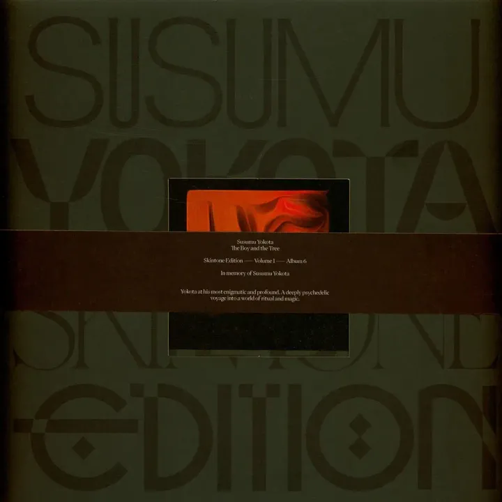 2-susumu-yokota-the-boy-and-the-tree-skintone-edition-orange-vinyl-edition