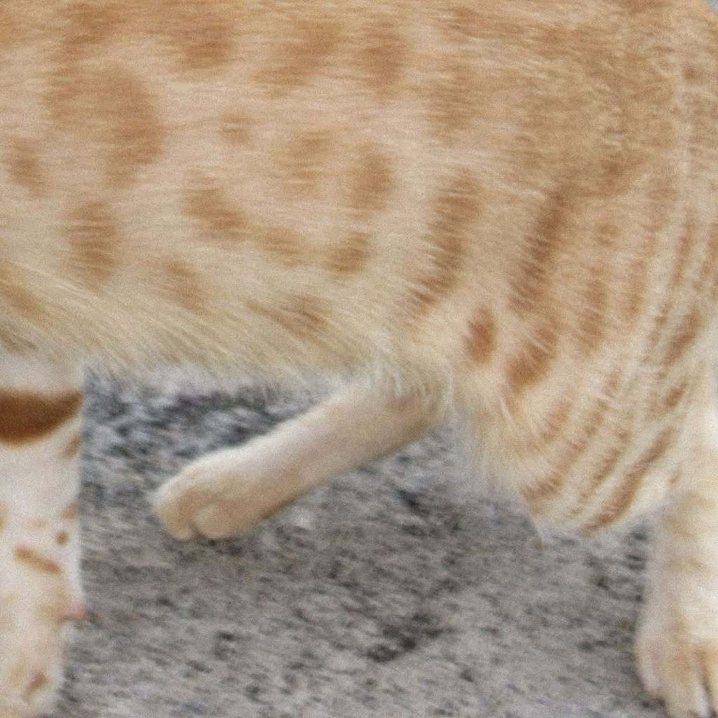 629219117_18393631375147251_744497352600528570_n