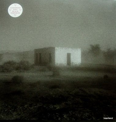 GODSPEED-YOU-BLACK-EMPEROR-allelujah-dont-bend-ascend-lp-1.jpg