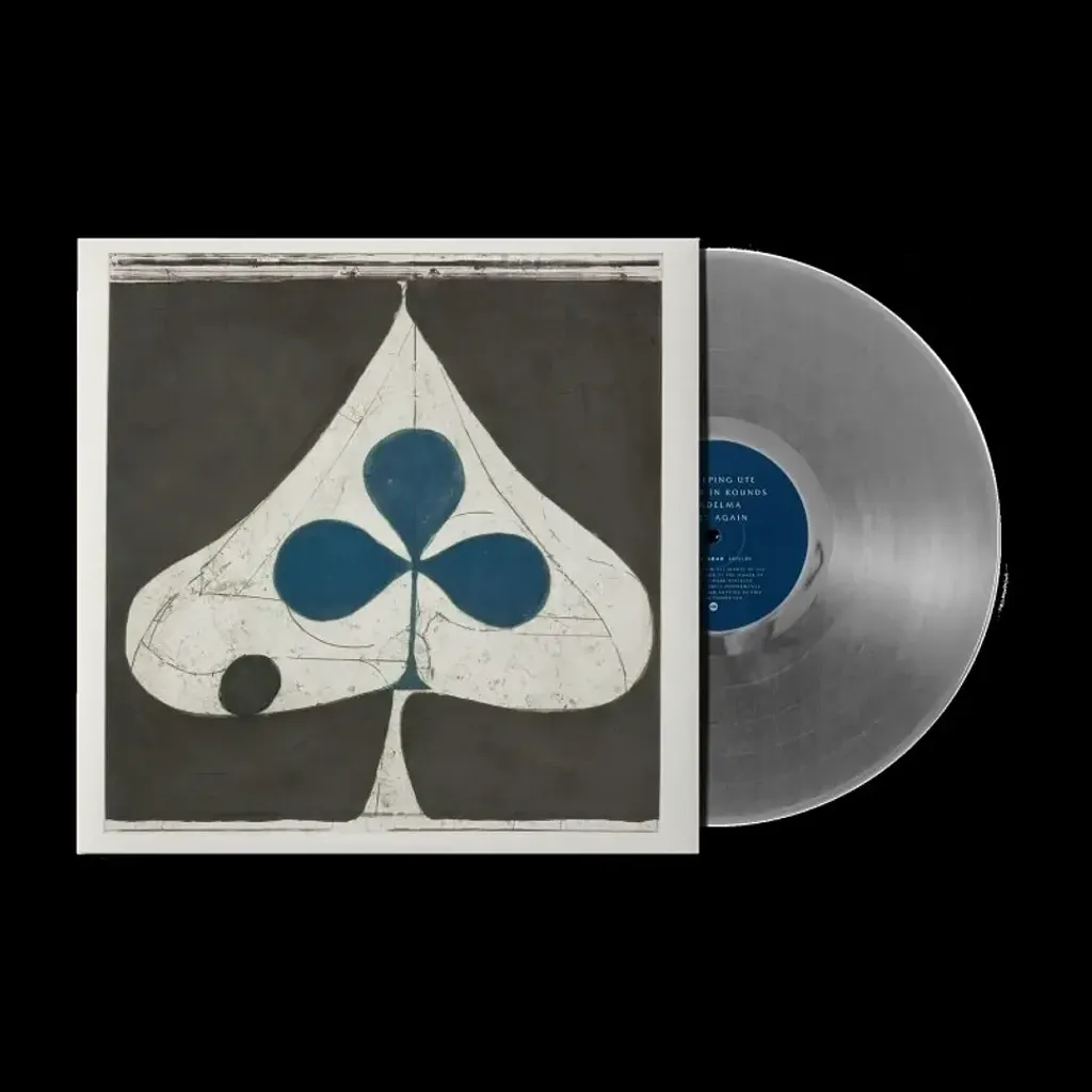 1-grizzly-bear-shields-transparent-vinyl-edition