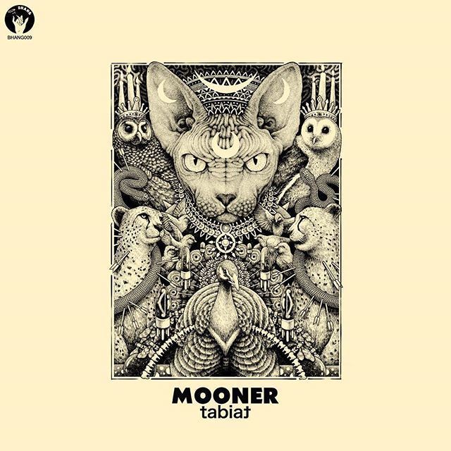 mooner-tabiat-2017-1496119777.jpg