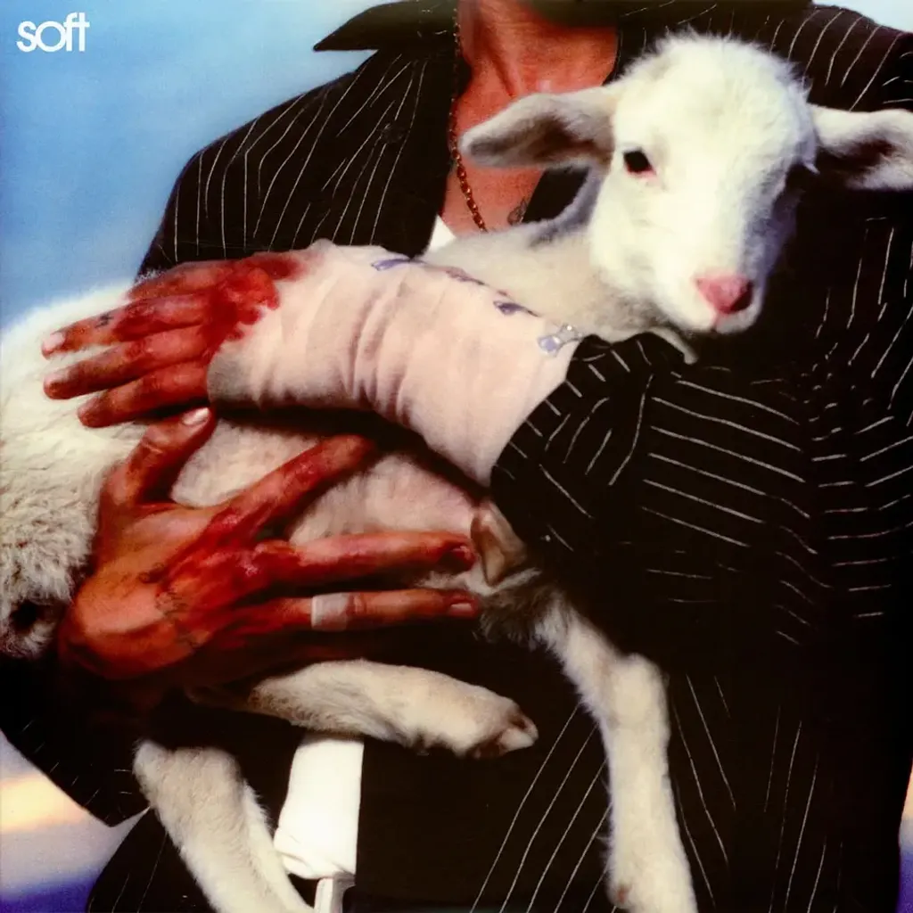 2-lany-soft-maroon-vinyl-edition