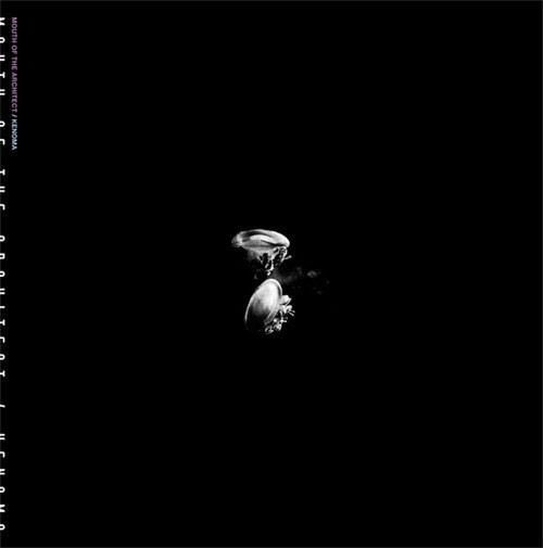 S__55418886.jpg