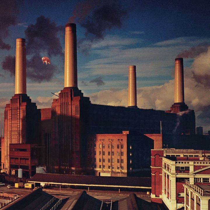animal-cover-方.jpg