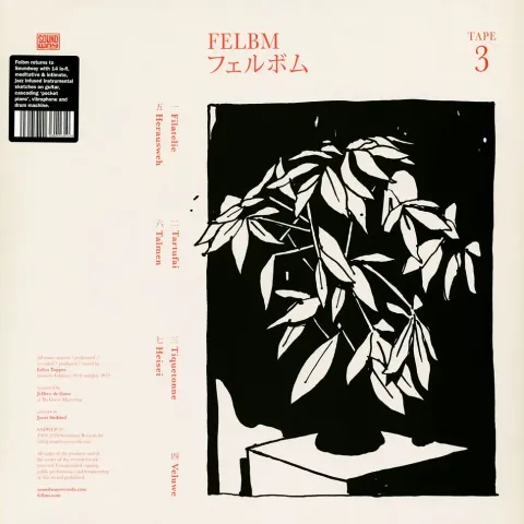 1-felbm-tape-3-tape-4