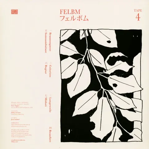2-felbm-tape-3-tape-4