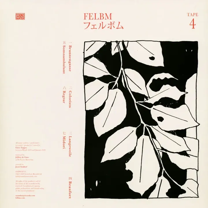 2-felbm-tape-3-tape-4