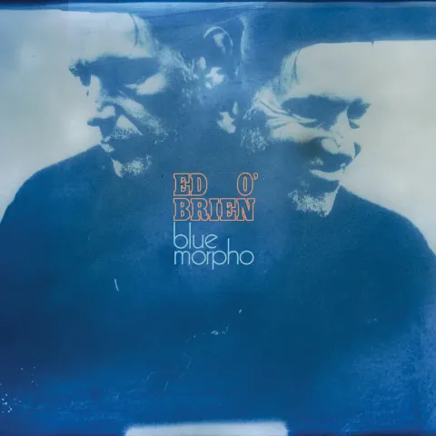 1-ed-o-brien-of-radiohead-blue-morpho-black-vinyl-edition