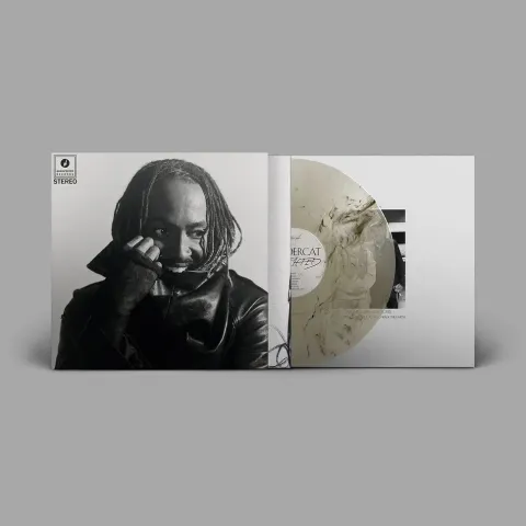 1-thundercat-distracted-clear-black-marble-vinyl-edition