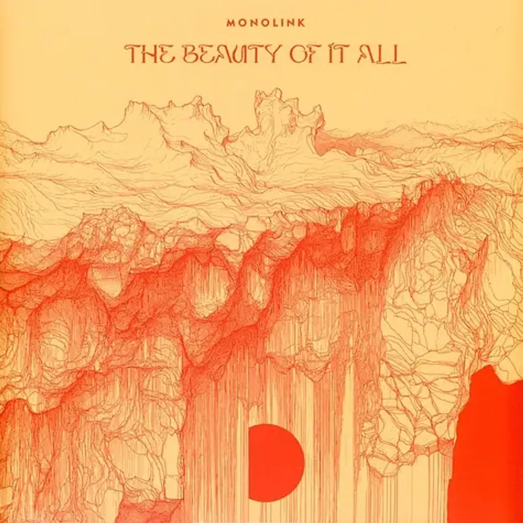 1-monolink-the-beauty-of-it-all-black-vinyl-edition