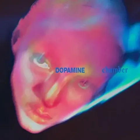 1-fontaines-d-c-dopamine-chamber
