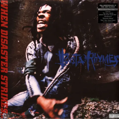 1-busta-rhymes-when-disaster-strikes