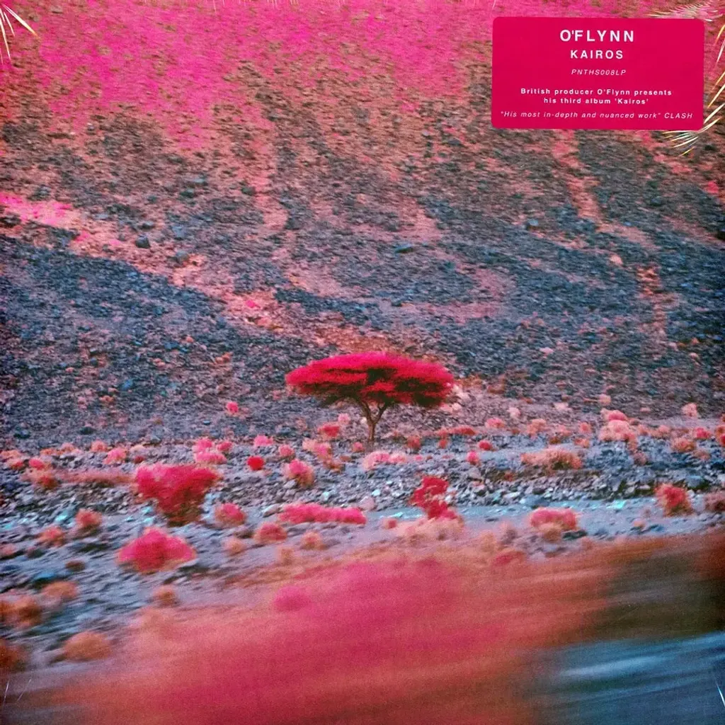 2-o-flynn-kairos