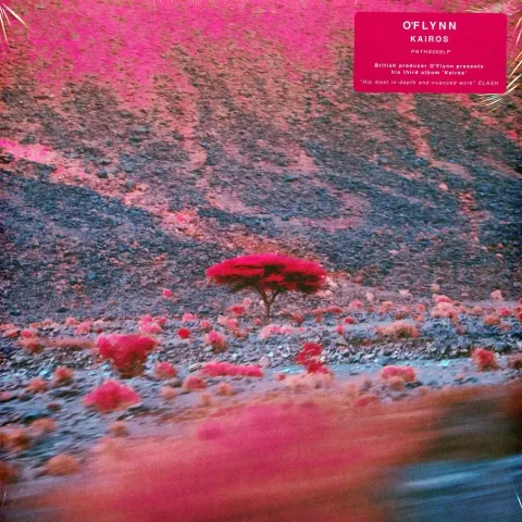 2-o-flynn-kairos