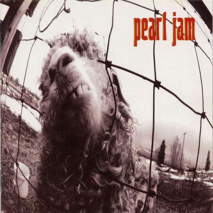 pearl-jam-vs.jpg