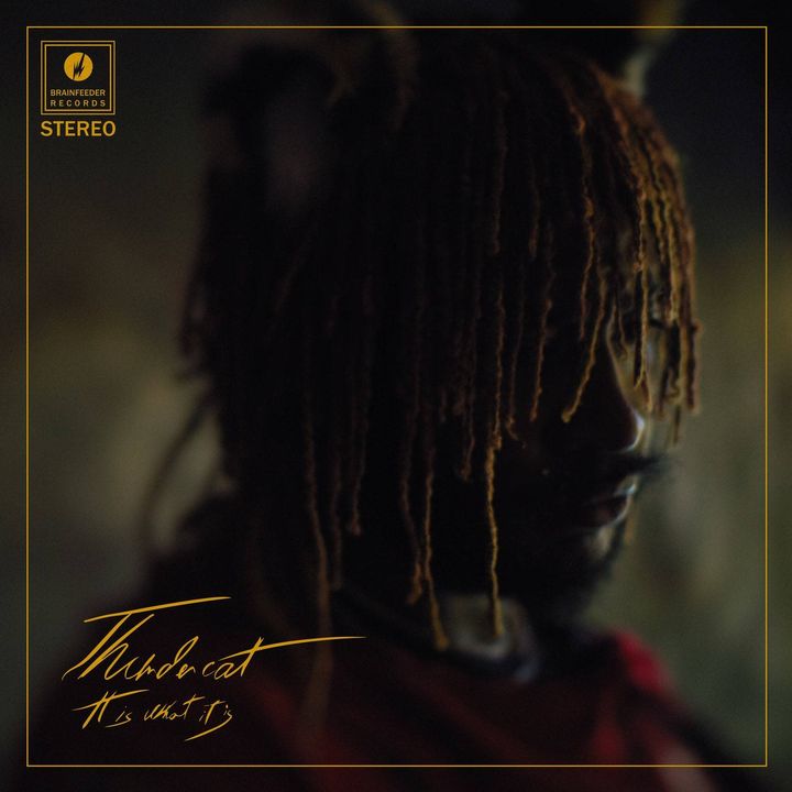 Thundercat.jpg