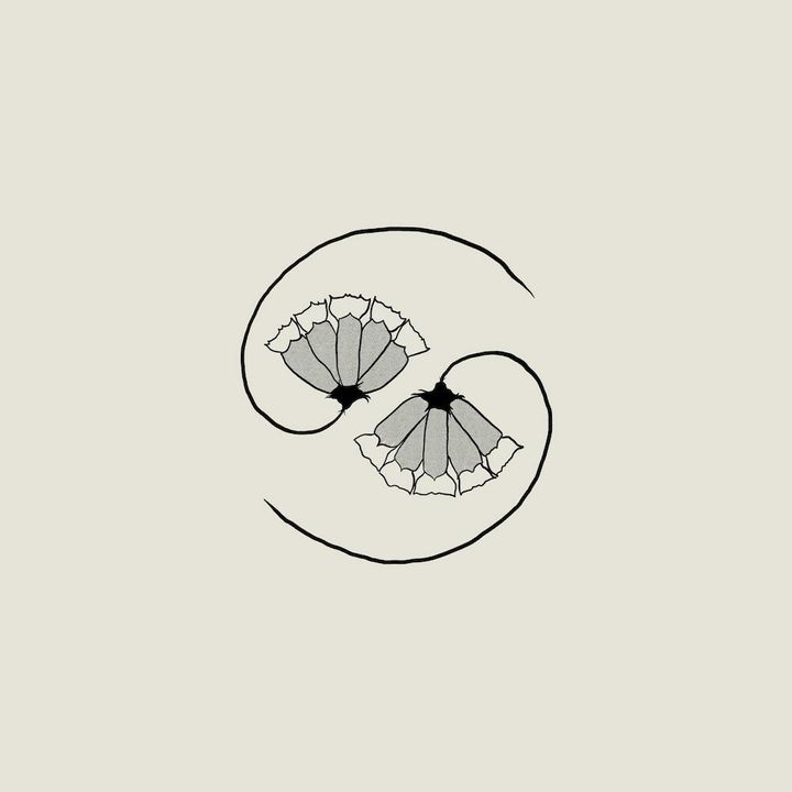 Godspeed-You-Black-Emperor-1617302184.jpg