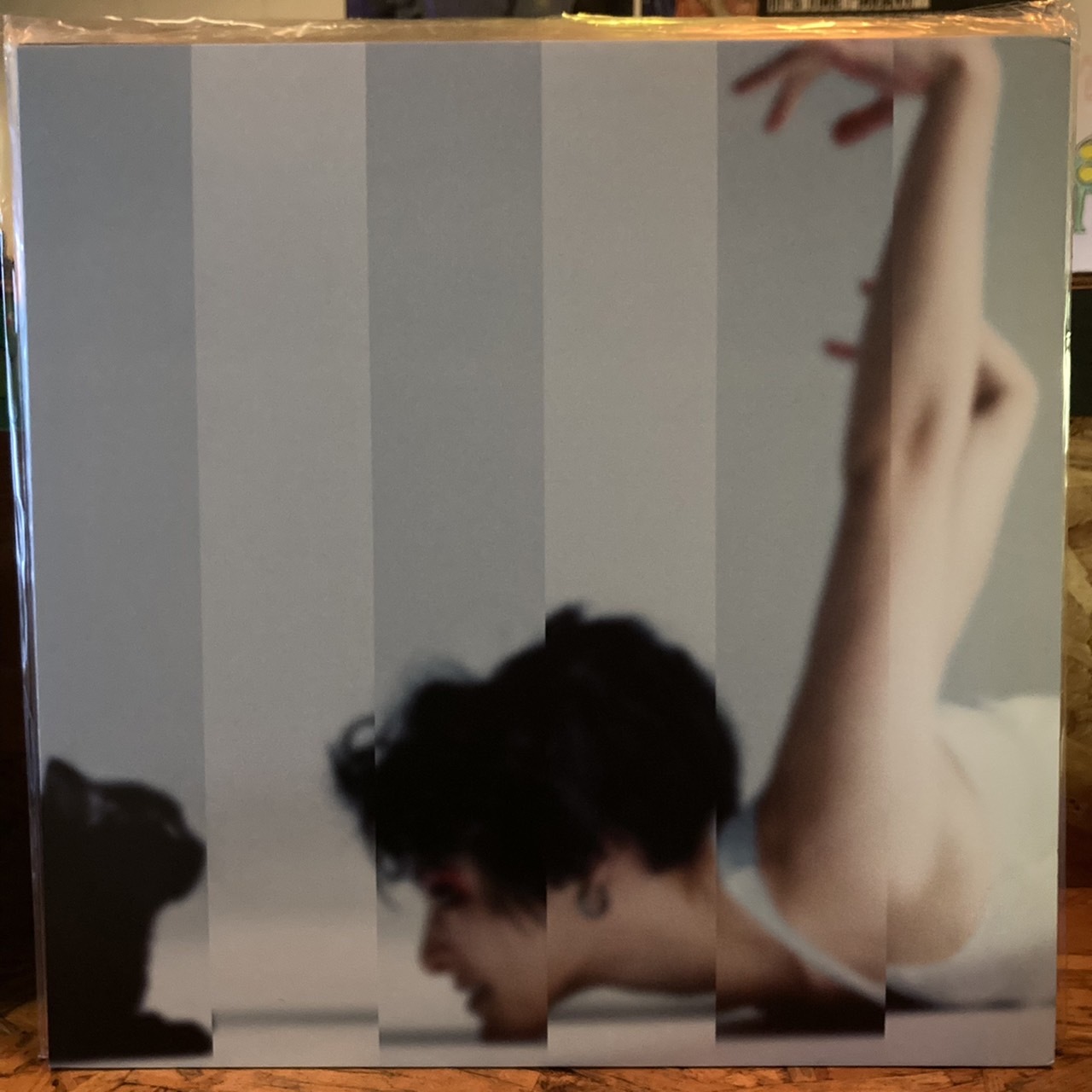 MONDO GROSSO - 春はトワに目覚める12