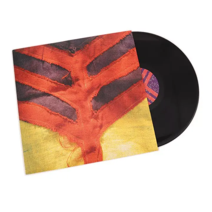 yeahyeahyeahs-showyourbones-blackvinyl-1_1024x1024