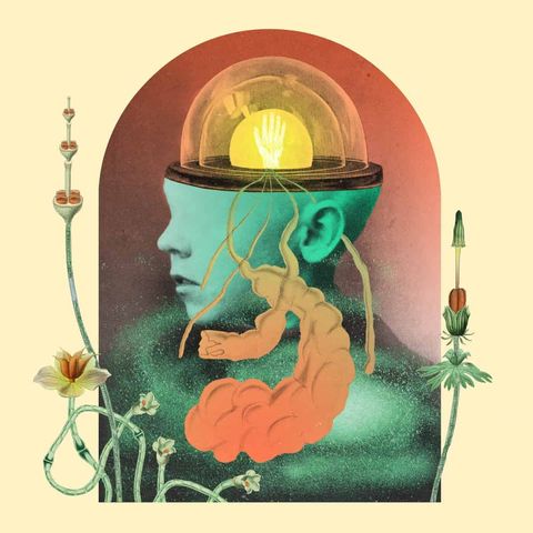 196839-salami-rose-joe-louis-akousmatikous