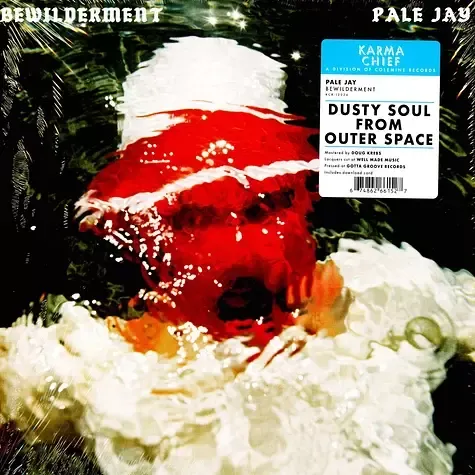 2-pale-jay-bewilderment-black-vinyl-edition
