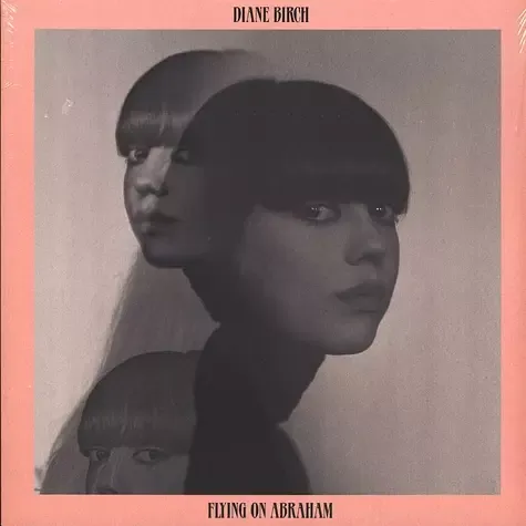 2-diane-birch-flying-on-abraham