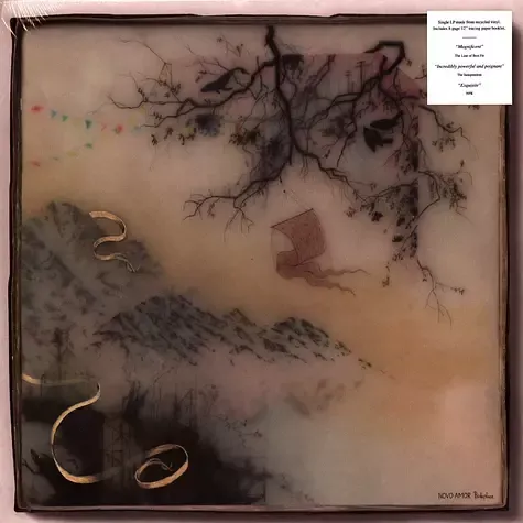 1-novo-amor-birthplace