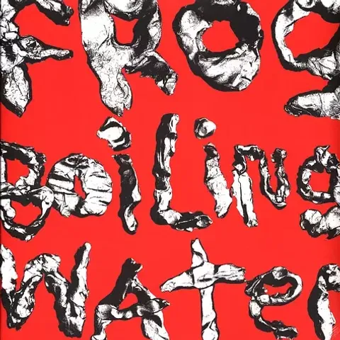 2-diiv-frog-in-boiling-water