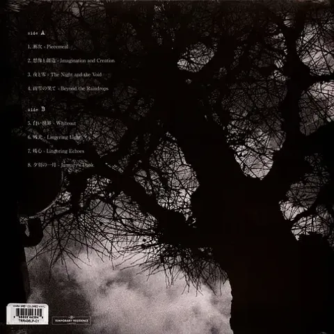 2-envy-eunoia-warm-grey-vinyl-edition