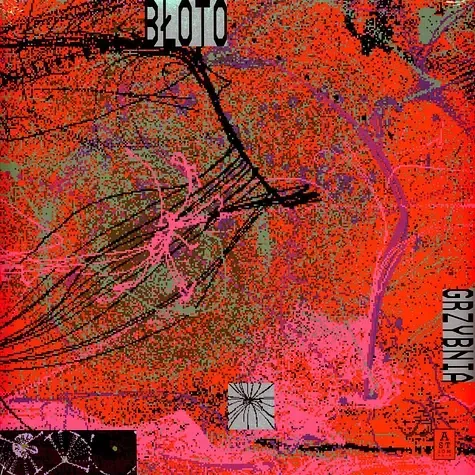 1-bloto-grzybnia