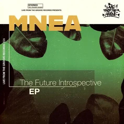 1-mnea-the-future-introspective-e-p
