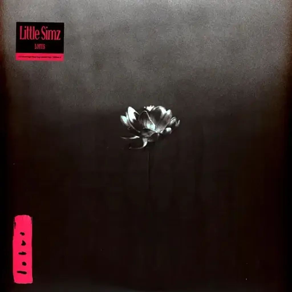 2-little-simz-lotus-black-vinyl-edition