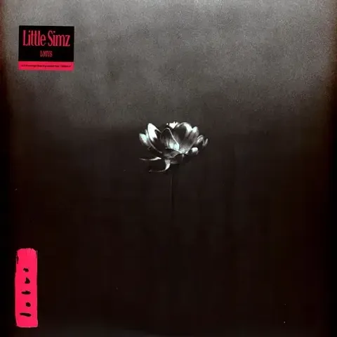2-little-simz-lotus-black-vinyl-edition