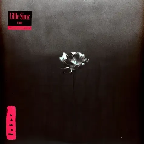 2-little-simz-lotus-black-vinyl-edition