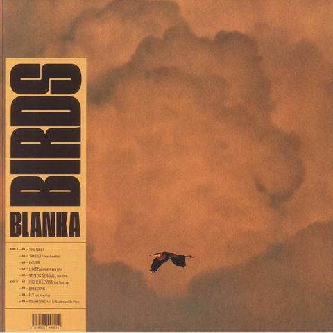 CS1023788-01A-BIG