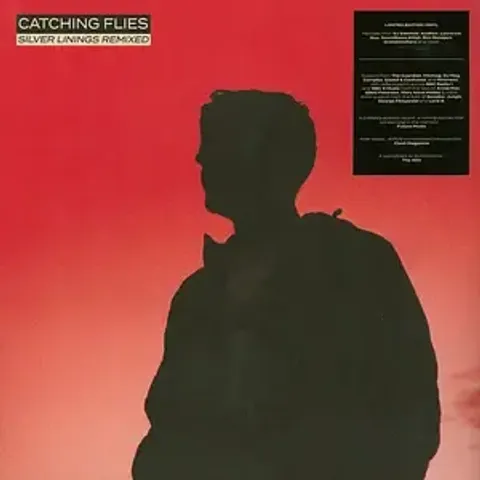1-catching-flies-silver-linings-remixed
