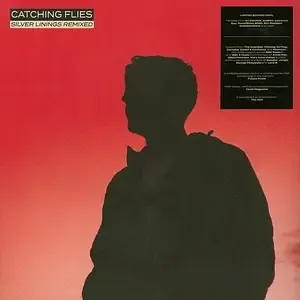 1-catching-flies-silver-linings-remixed
