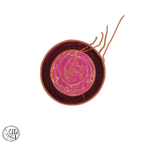 S__72032277_0