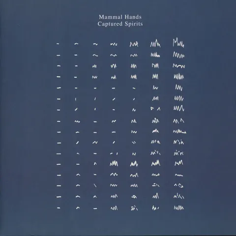 1-mammal-hands-captured-spirits-black-vinyl-edition
