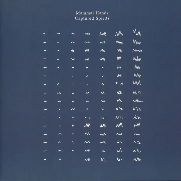1-mammal-hands-captured-spirits-black-vinyl-edition
