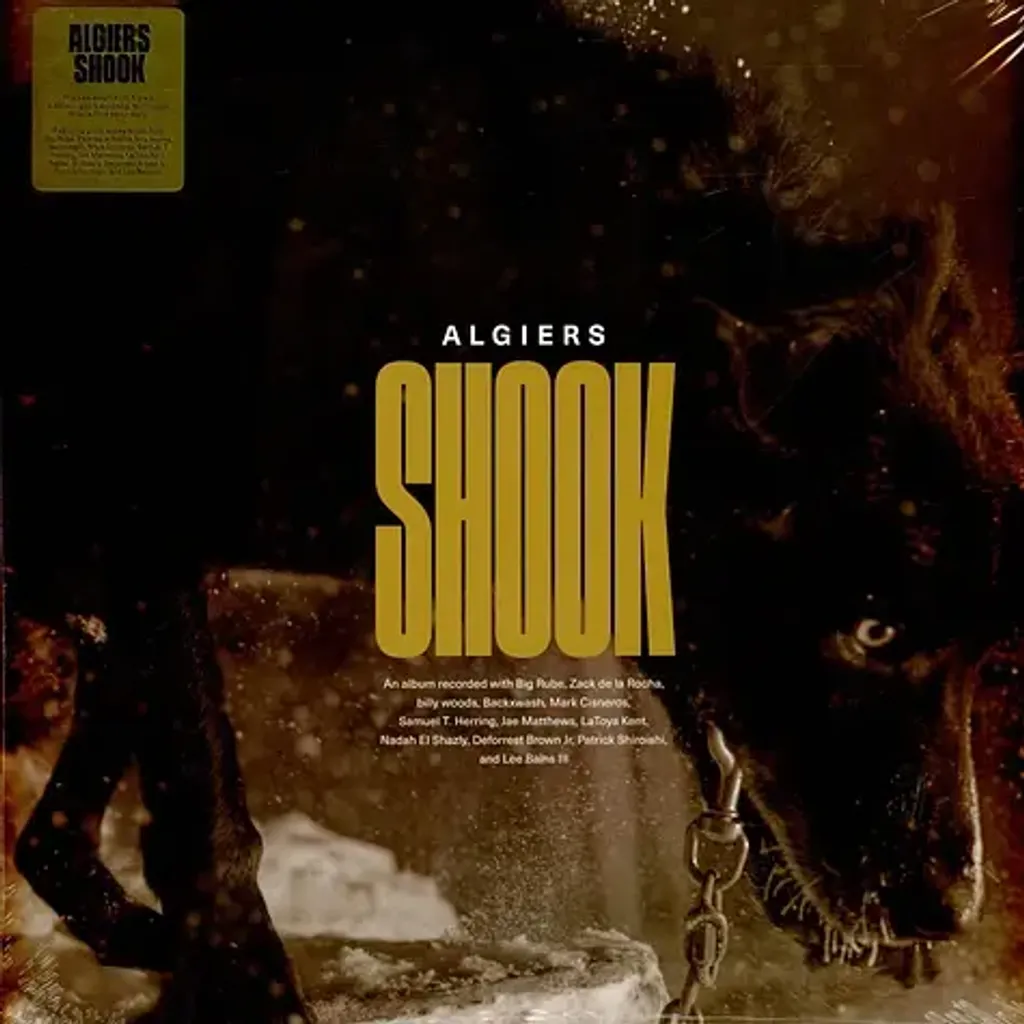 1-algiers-shook-black-vinyl-edition