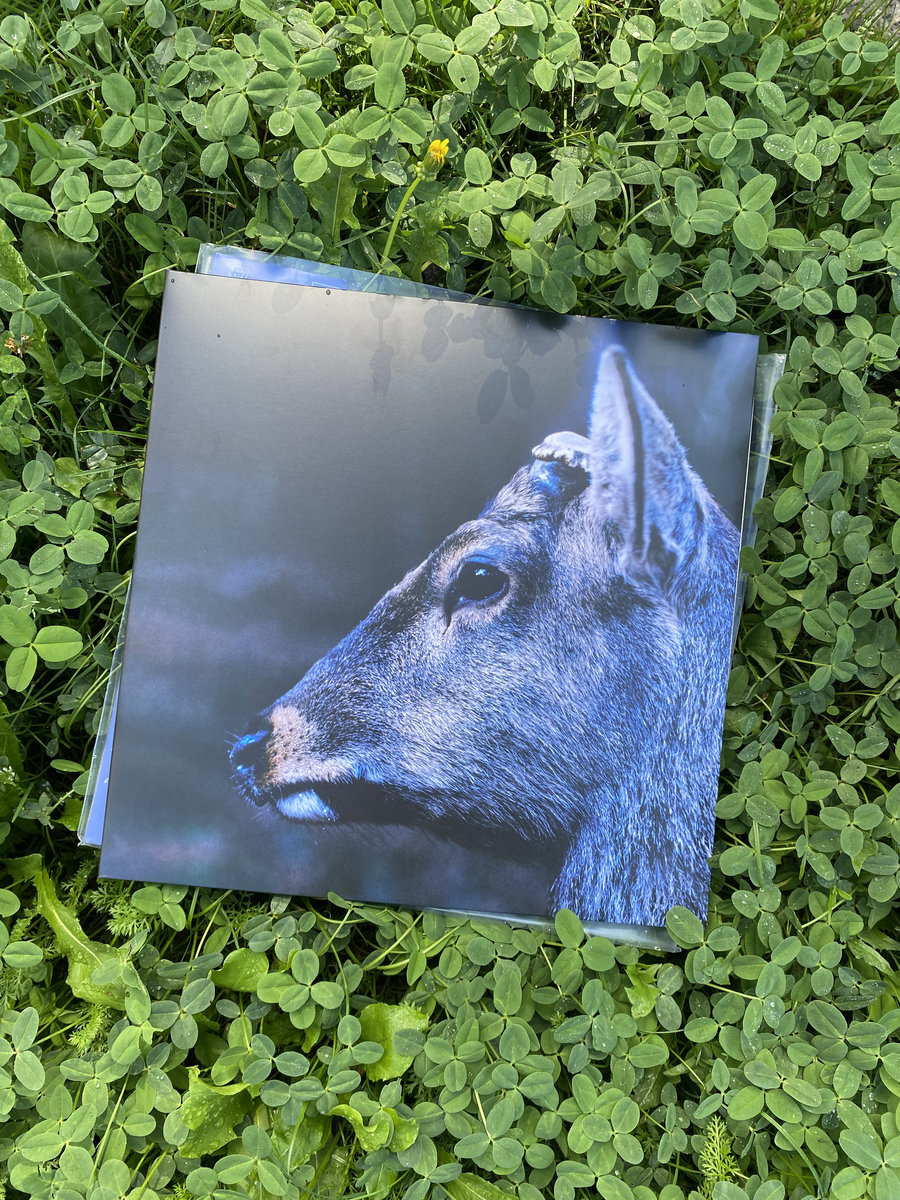 Toe - The Book About My Idle Plot On A Vague Anxiety 