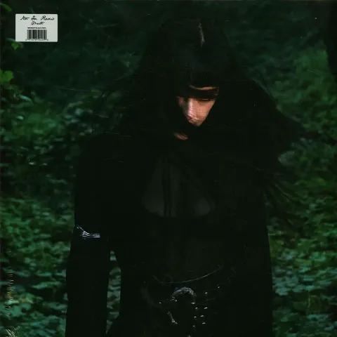 1-not-for-radio-melt