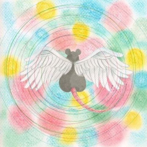 549163585_1111519707737874_6698125355423916999_n