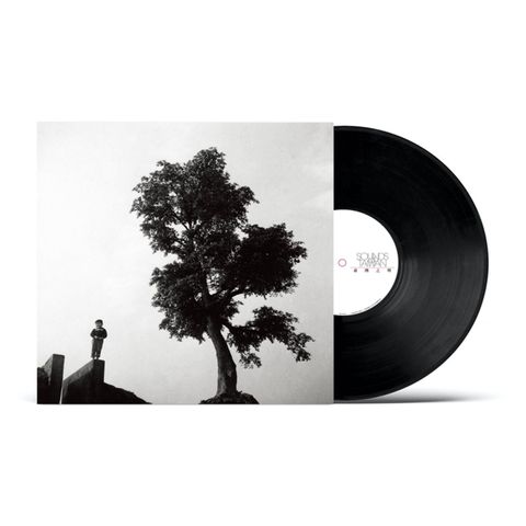 556187678_1123529046536940_4105630888168730691_n