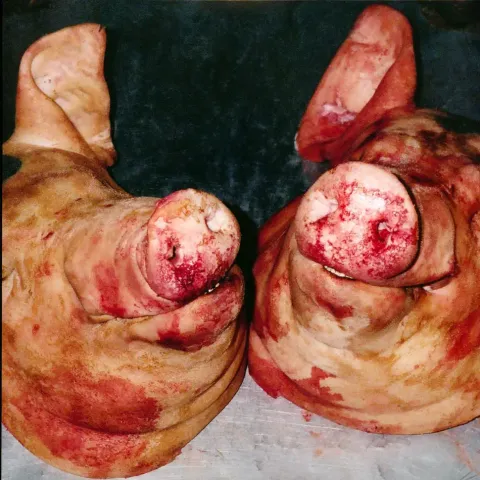 2-armand-hammer-and-the-alchemist-haram-black-vinyl-edition