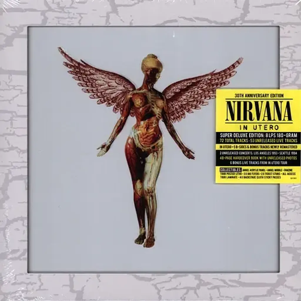 2-nirvana-in-utereo-super-deluxe-vinyl-box