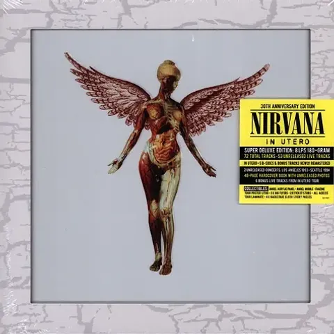 2-nirvana-in-utereo-super-deluxe-vinyl-box