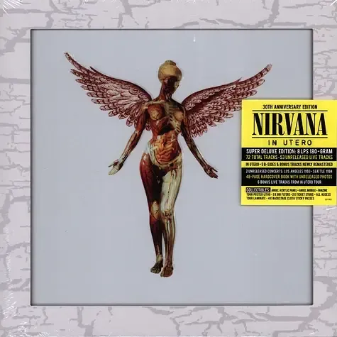 2-nirvana-in-utereo-super-deluxe-vinyl-box